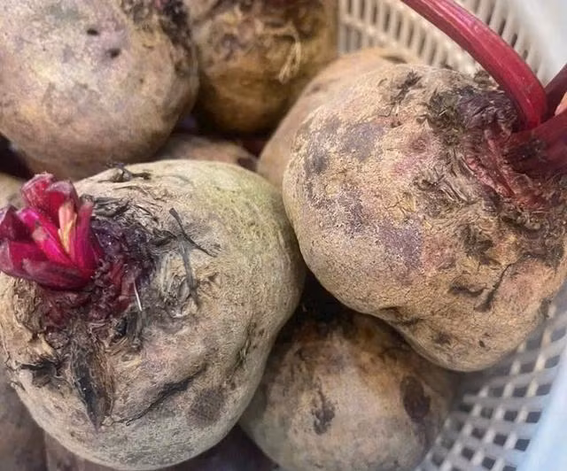 Củ dền được xếp vào trong nhóm rau củ có hàm lượng nitrate tương đối cao hơn so với các loại rau củ khác. Ảnh LÊ CẦM