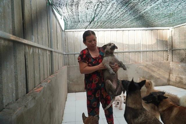 Gần 2 năm qua, bà Thủy cưu mang 170 con chó bị bỏ rơi