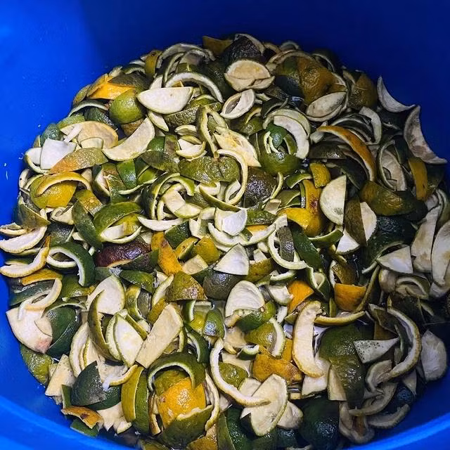 Vỏ cam là một trong 2 nguyên liệu chính làm ra nước rửa chén sinh học. ẢNH: DUY TÂN