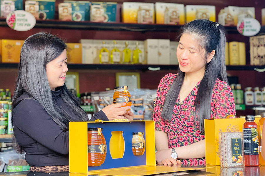 Gia Lai đang nỗ lực tạo dựng và phát triển văn hóa sở hữu trí tuệ trong cộng đồng. Ảnh: Trần Dung Gia Lai đang nỗ lực tạo dựng và phát triển văn hóa sở hữu trí tuệ trong cộng đồng. Ảnh: Trần Dung