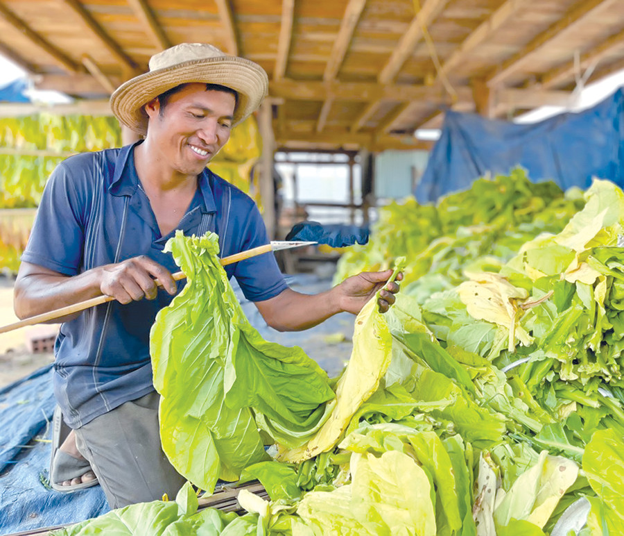 Chuyển về khu tái định cư, gia đình anh Nay Hlinh (buôn Jứ, xã Ia Broăi, huyện Ia Pa) thoát khỏi cảnh sống thấp thỏm trong mối lo ngập lụt. Ảnh: M.N Chuyển về khu tái định cư, gia đình anh Nay Hlinh (buôn Jứ, xã Ia Broăi, huyện Ia Pa) thoát khỏi cảnh sống thấp thỏm trong mối lo ngập lụt. Ảnh: M.N