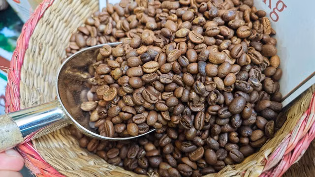 Giá cà phê đang lên cơn sốt.