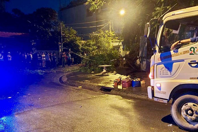 Cây si đè chết 1 người đang trú mưa ở TP Thủ Đức - Ảnh 1. Ông Chấn bị cây Si đè chết trong lúc trú mưa.