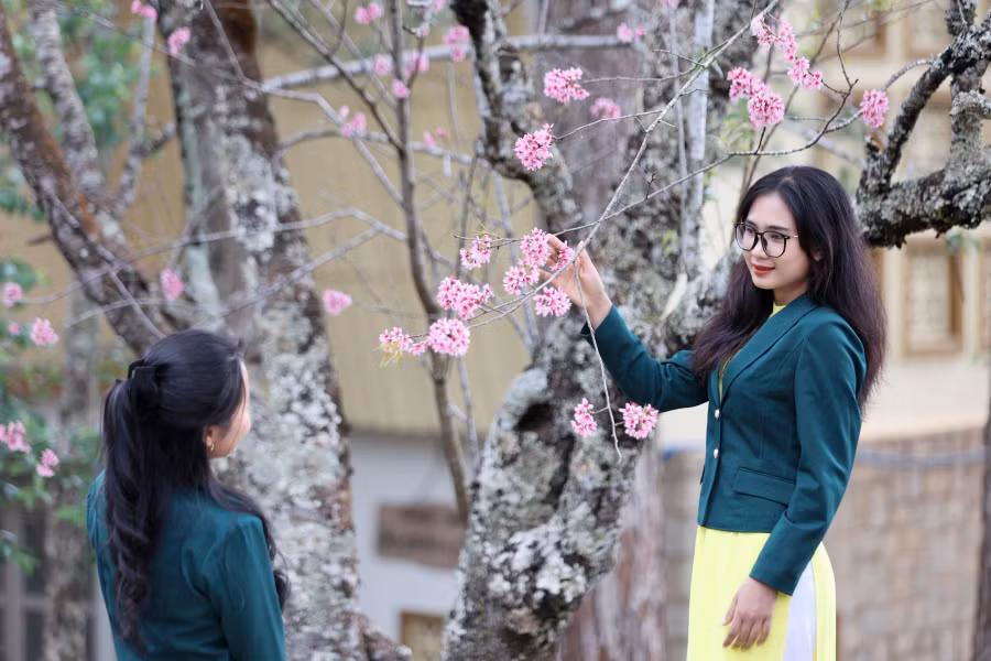 Những nữ sinh Đà Lạt bên hoa. Ảnh: BÁ DUY