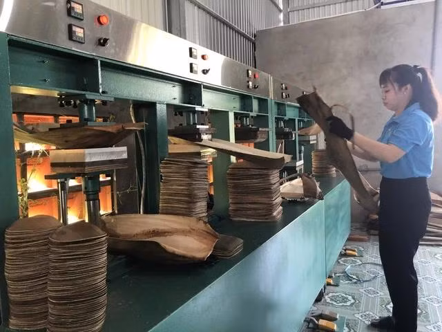 Công nhân gia công sản phẩm từ mo cau tại của cơ sở Cau Việt của chị An. Ảnh DUY TÂN