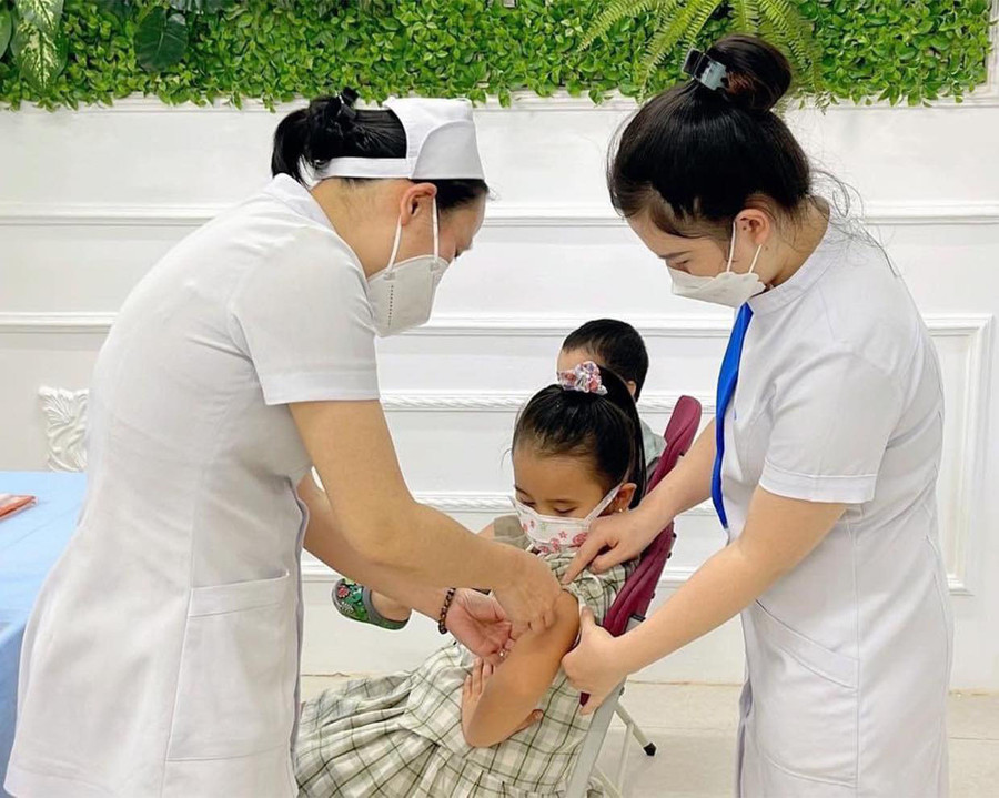 Khi bị chó, mèo nghi dại cắn, người dân cần tiêm ngay vắc xin hoặc huyết thanh kháng dại. Ảnh: N.N