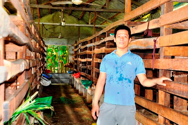 Quế có quyết định 'ngông' khi từ bỏ trường y về quê khởi nghiệp nuôi hươu sao Quế có quyết định 'ngông' khi từ bỏ trường y về quê khởi nghiệp nuôi hươu sao