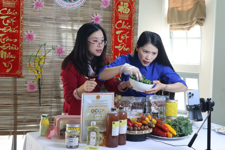 Kênh TikTok Hoàng Anh Macca đạt doanh thu hơn 41 triệu đồng sau 2 giờ livestream bán sản phẩm OCOP của thanh niên Lâm Đồng Kênh TikTok Hoàng Anh Macca đạt doanh thu hơn 41 triệu đồng sau 2 giờ livestream bán sản phẩm OCOP của thanh niên Lâm Đồng