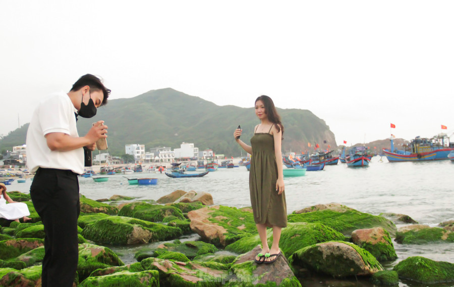 “Đẹp đến mức khó biết phải diễn tả như thế nào” – đó là chia sẻ ngắn gọn của bạn Huỳnh Hóa khi thủy triều vừa rút để lộ ra những phiến đá phủ đầy rêu xanh. Ảnh: Trương Định “Đẹp đến mức khó biết phải diễn tả như thế nào” – đó là chia sẻ ngắn gọn của bạn Huỳnh Hóa khi thủy triều vừa rút để lộ ra những phiến đá phủ đầy rêu xanh. Ảnh: Trương Định