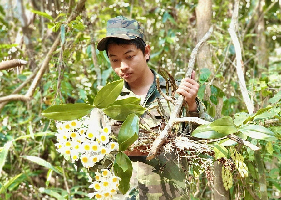 Mỗi chuyến đi rừng, người dân thu hái rất nhiều loại lâm sản phụ. Ảnh: M.N Mỗi chuyến đi rừng, người dân thu hái rất nhiều loại lâm sản phụ. Ảnh: M.N