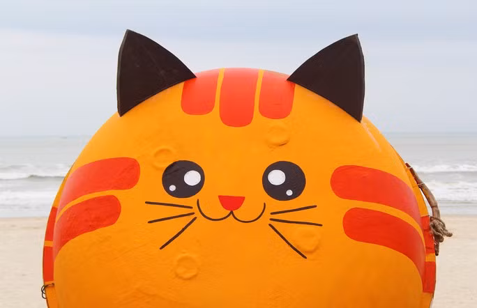 Tại công viên Biển Đông (cuối đường Phạm Văn Đồng), công viên Lăng Ông (Võ Nguyên Giáp) và Quảng trường Hà Khê (phường Xuân Hà, quận Thanh Khê), BQL sẽ trưng bày các mô hình mèo