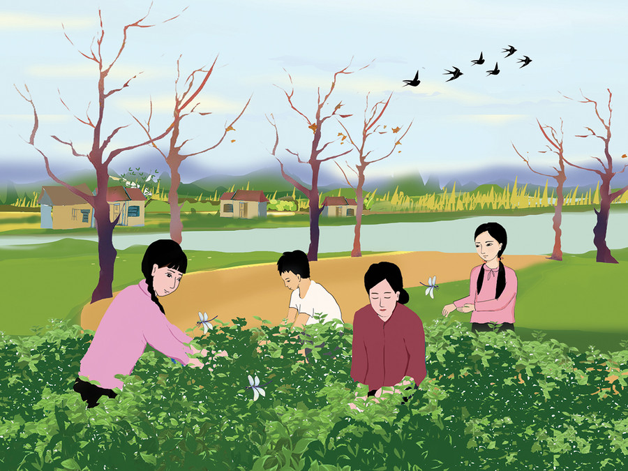 Minh họa: Huyền Trang Minh họa: Huyền Trang