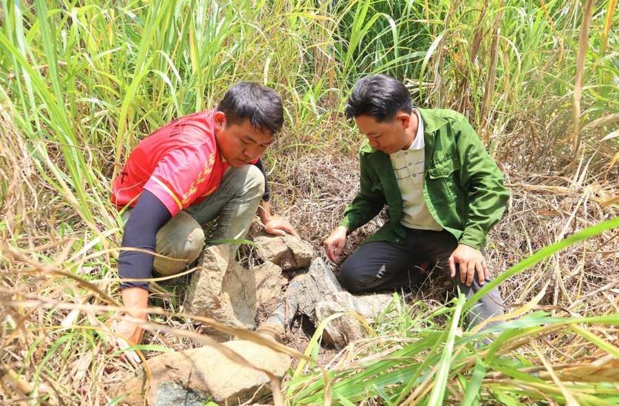 Người dân thôn 5, xã Cư San (huyện M'Drắk) kiểm tra đường ống dẫn nước từ đỉnh núi Cư Tông về làng. Người dân thôn 5, xã Cư San (huyện M'Drắk) kiểm tra đường ống dẫn nước từ đỉnh núi Cư Tông về làng.