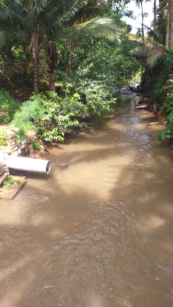 Nhiều ống xả nước thải từ những khu dân cư đô thị ra suối Ea Tam, khiến nguy cơ ô nhiễm nặng. Nhiều ống xả nước thải từ những khu dân cư đô thị ra suối Ea Tam, khiến nguy cơ ô nhiễm nặng.