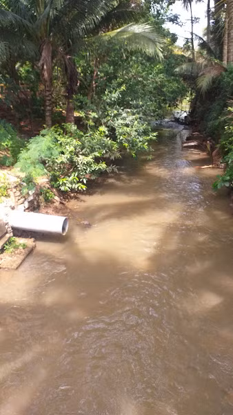 Nhiều ống xả nước thải từ những khu dân cư đô thị ra suối Ea Tam, khiến nguy cơ ô nhiễm nặng.