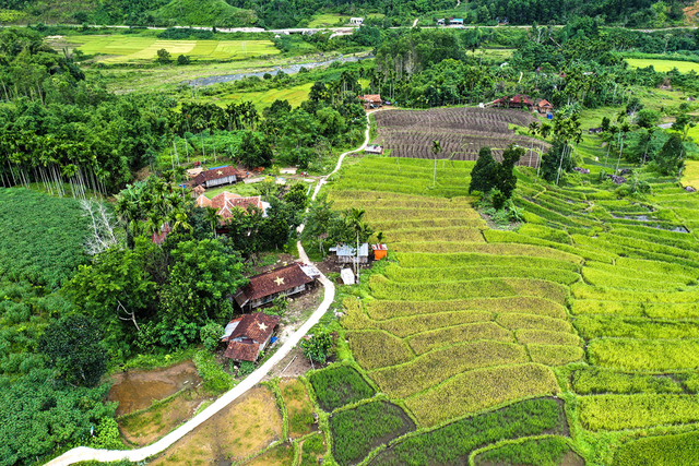 Làng thanh niên lập nghiệp giữa đại ngàn. Ảnh: Trí Tín Làng thanh niên lập nghiệp giữa đại ngàn. Ảnh: Trí Tín