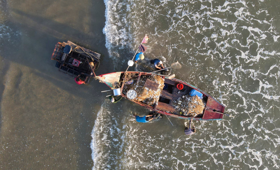 Thuyền chở đầy ắp cá cập bờ, mang theo những giỏ hải sản tươi ngon.