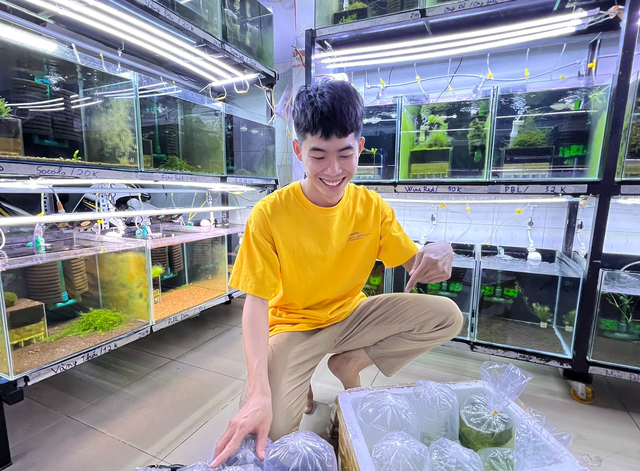 Hiệp kinh doanh thành công với tép cảnh. Ảnh: Tấn Đạt