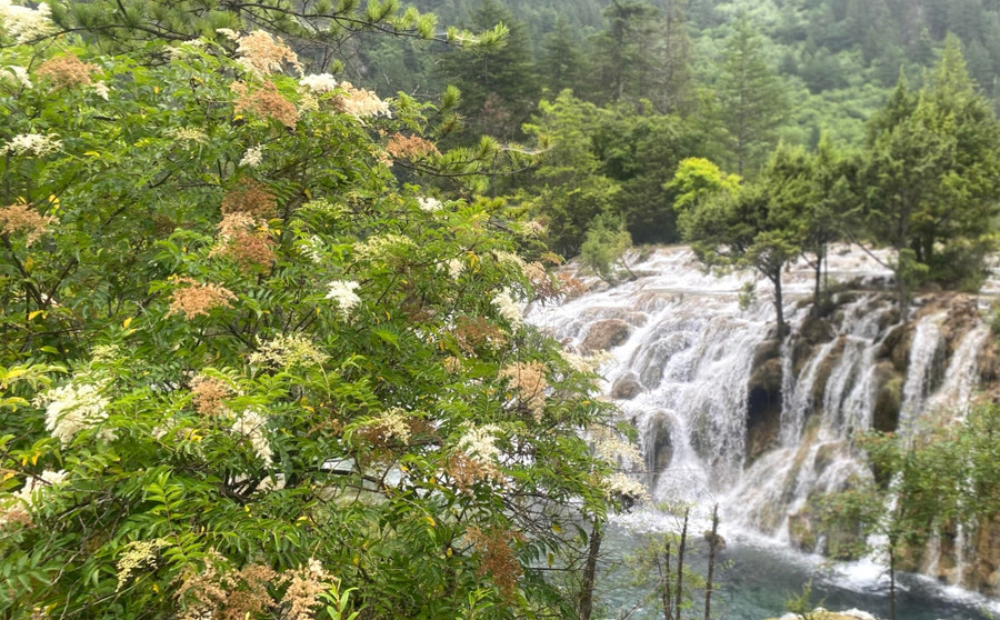 Mùa này Cửu Trại Câu đang vào mùa đẹp nhất, là thời điểm thích hợp để du khách thưởng ngoạn tuyệt tác thiên nhiên. Ảnh HỨA XUYÊN HUỲNH