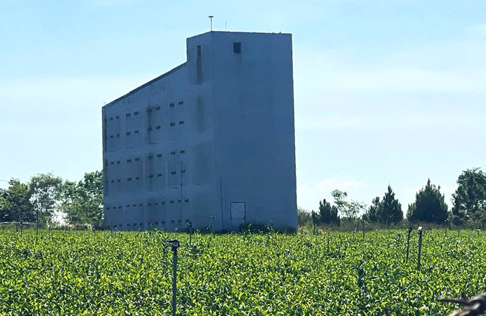 Nhiều sai phạm về đất đai tại Công ty cổ phần Chè Minh Rồng đang được cơ quan điều tra tập trung làm rõ. Nhiều sai phạm về đất đai tại Công ty cổ phần Chè Minh Rồng đang được cơ quan điều tra tập trung làm rõ.