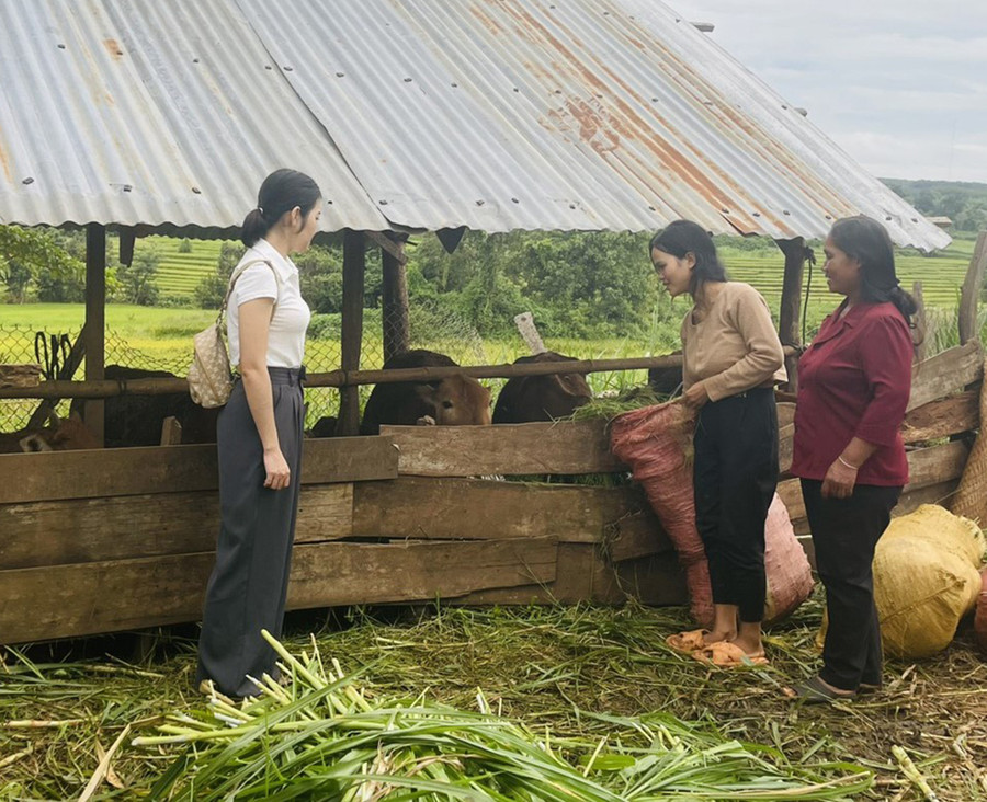 Nhờ Hội LHPN xã Ia Hrú trích nguồn quỹ mô hình “3 biết, 2 hỗ trợ” hỗ trợ bò sinh sản, đời sống gia đình chị Rmah H'Thiêng (đứng giữa, làng Tao Chor) đã vơi bớt khó khăn. Ảnh: Q.T Nhờ Hội LHPN xã Ia Hrú trích nguồn quỹ mô hình “3 biết, 2 hỗ trợ” hỗ trợ bò sinh sản, đời sống gia đình chị Rmah H'Thiêng (đứng giữa, làng Tao Chor) đã vơi bớt khó khăn. Ảnh: Q.T