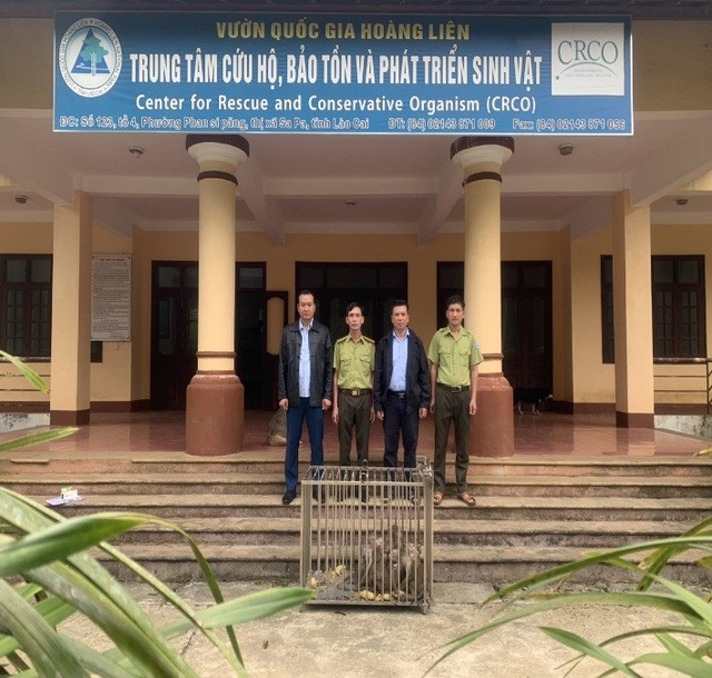 Chi cục Kiểm lâm Thái Bình sau đó đã liên hệ và chuyển giao số cá thể khỉ trên cho Trung tâm Cứu hộ, bảo tồn và phát triển sinh vật (Vườn quốc gia Hoàng Liên, tỉnh Lào Cai). CHI CỤC KIỂM LÂM THÁI BÌNH Chi cục Kiểm lâm Thái Bình sau đó đã liên hệ và chuyển giao số cá thể khỉ trên cho Trung tâm Cứu hộ, bảo tồn và phát triển sinh vật (Vườn quốc gia Hoàng Liên, tỉnh Lào Cai). CHI CỤC KIỂM LÂM THÁI BÌNH