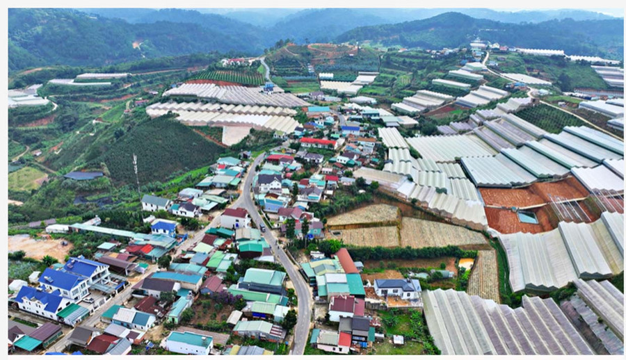 Những năm qua, một số trường hợp người dân ở xã Lát, huyện Lạc Dương do vay nợ nhưng không có khả năng chi trả tiền gốc và lãi nên phải sang nhượng đất cho chủ nợ