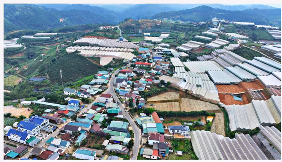 Những năm qua, một số trường hợp người dân ở xã Lát, huyện Lạc Dương do vay nợ nhưng không có khả năng chi trả tiền gốc và lãi nên phải sang nhượng đất cho chủ nợ