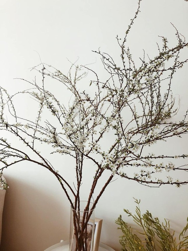 Mận trắng là điểm nhấn với vẻ ngoài phong sương Mận trắng là điểm nhấn với vẻ ngoài phong sương