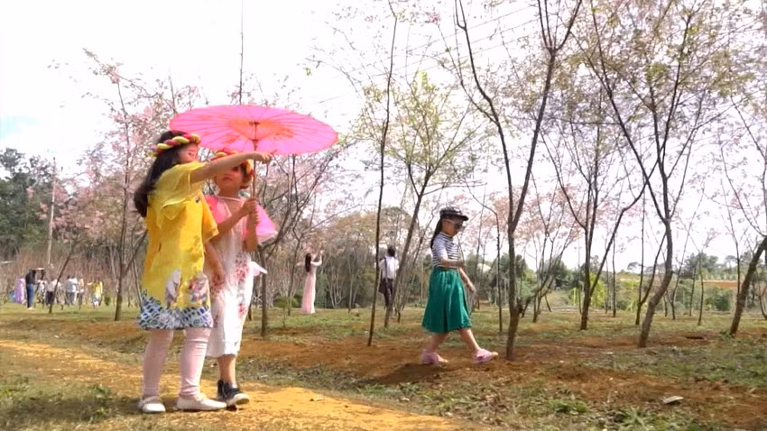 Dịp Tết, Vĩnh Sơn nhộn nhịp không khí người người, nhà nhà du xuân, check-in với hoa đào. Ảnh: XUÂN DŨNG Dịp Tết, Vĩnh Sơn nhộn nhịp không khí người người, nhà nhà du xuân, check-in với hoa đào. Ảnh: XUÂN DŨNG