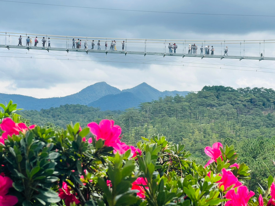 Đông đảo du khách trải nghiệm cầu kính 7D ở Thung lũng Tình yêu. Ảnh: LÂM VIÊN