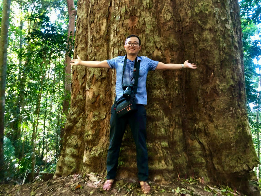 Du khách vượt hàng tiếng đồng hồ trong rừng rậm để tận thấy cây sao hàng trăm năm tuổi. Du khách vượt hàng tiếng đồng hồ trong rừng rậm để tận thấy cây sao hàng trăm năm tuổi.