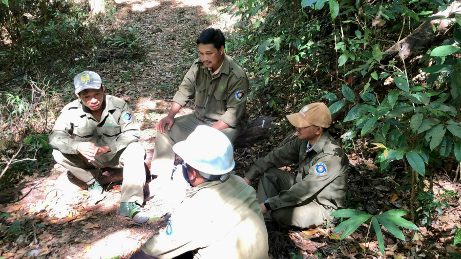 Lực lượng bảo vệ rừng thường xuyên tổ chức các nhóm tuần tra, bảo vệ cây 24/24. Lực lượng bảo vệ rừng thường xuyên tổ chức các nhóm tuần tra, bảo vệ cây 24/24.