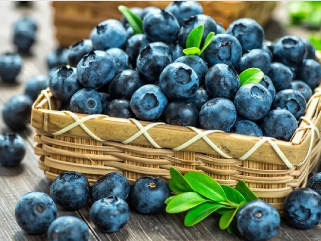 Việt quất là loại trái cây rất giàu flavanol và các chất chống ô xy hóa khác. Ảnh: SHUTTERSTOCK