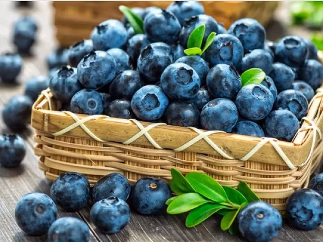 Việt quất là loại trái cây rất giàu flavanol và các chất chống ô xy hóa khác. Ảnh: SHUTTERSTOCK