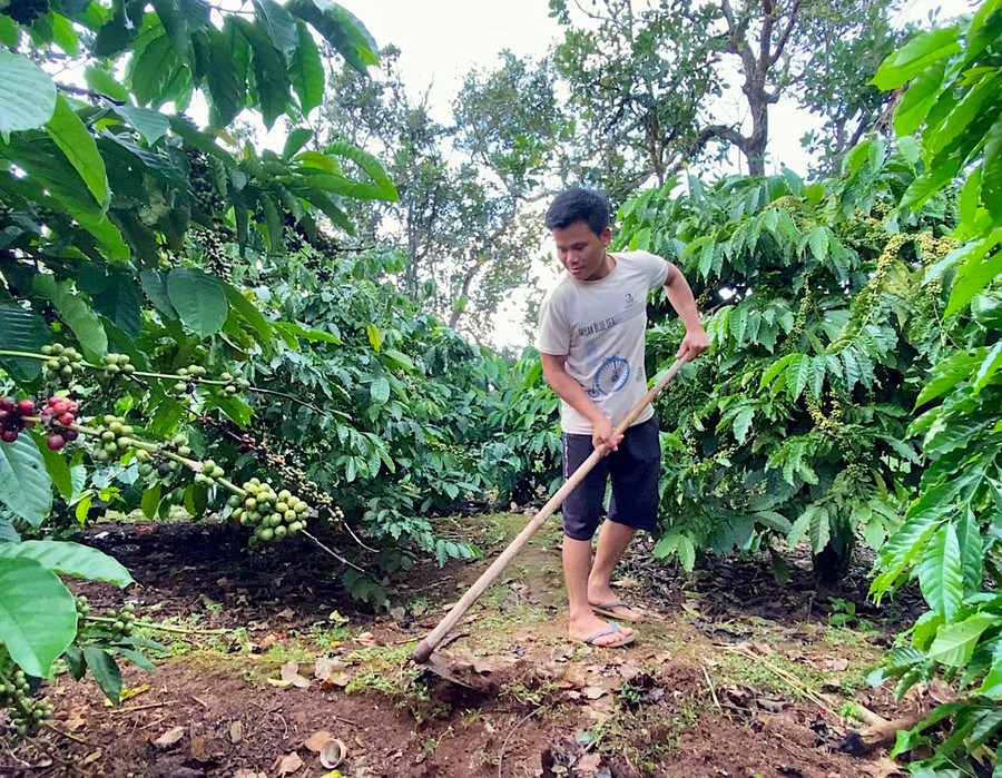 Đức Cơ triển khai nhiều giải pháp hỗ trợ phát triển kinh tế-xã hội cho người dân, góp phần kéo giảm tỷ lệ hộ nghèo. Ảnh: Hà Duy