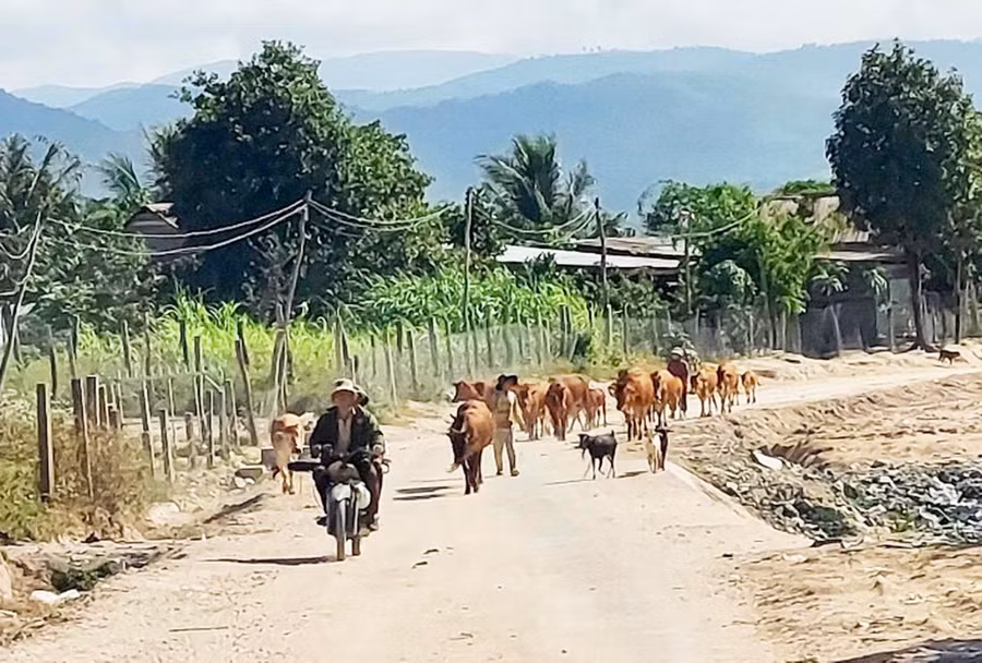 Tuyến đường ra khu sản xuất của người dân thôn Huy Hoàng và buôn Toát (xã Ia Rsươm) đã được đổ bê tông rộng 3,5 m. Ảnh: L.N