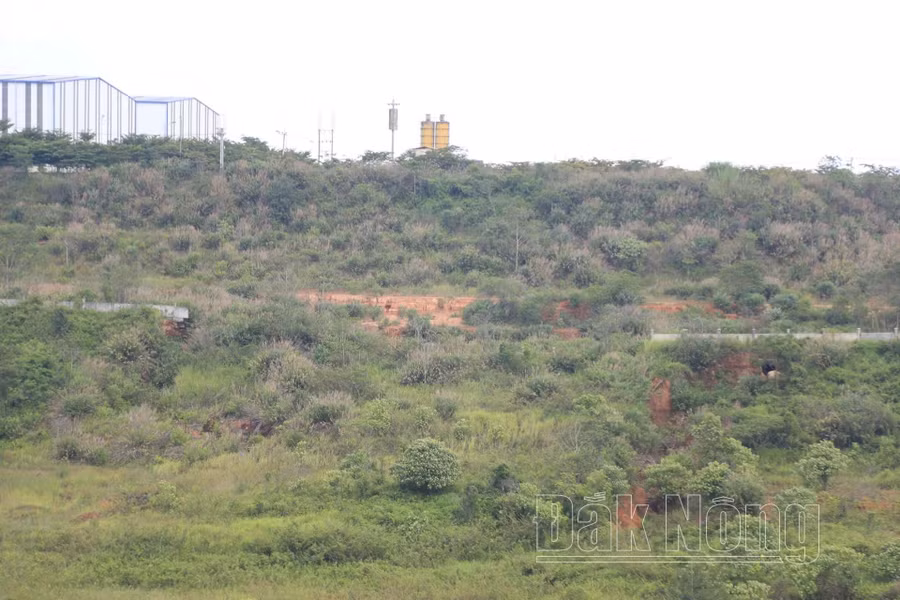 Việc xây dựng giá cho thuê tài sản kết cấu hạ tầng KCN Nhân Cơ đang gặp khó khăn do dự án tạm dừng vì sự cố sụt lún, chi phí đầu tư chưa được quyết toán.