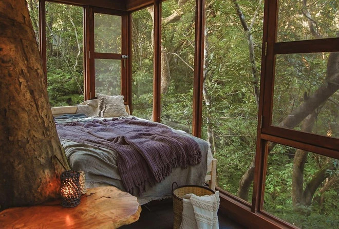 Một trong những căn phòng của khách sạn Treeful. (Ảnh: CNN) Một trong những căn phòng của khách sạn Treeful. (Ảnh: CNN)