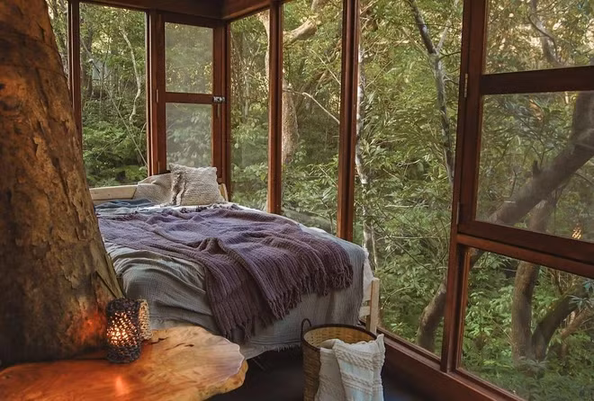 Một trong những căn phòng của khách sạn Treeful. (Ảnh: CNN)