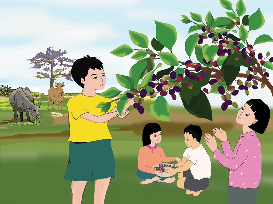 Minh họa: Huyền Trang Minh họa: Huyền Trang