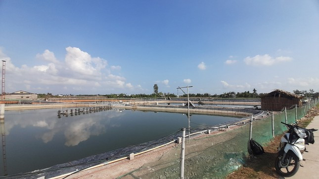Diện tích nuôi trồng thủy sản chiếm gần một nửa diện tích tự nhiên của xã Long Hòa. Ảnh: Cảnh Kỳ