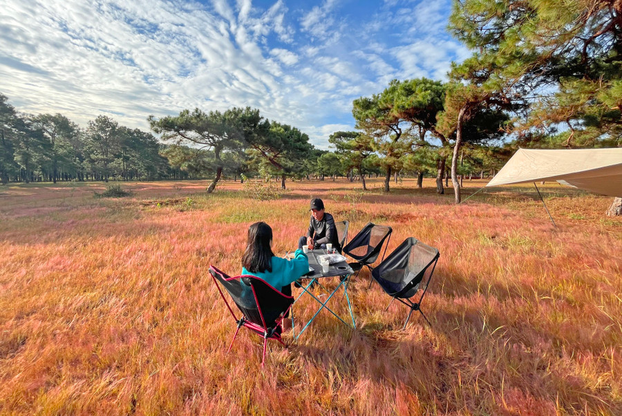 Đồi cỏ hồng ở xã Glar, huyện Đak Đoa. Ảnh: Nguyên Võ