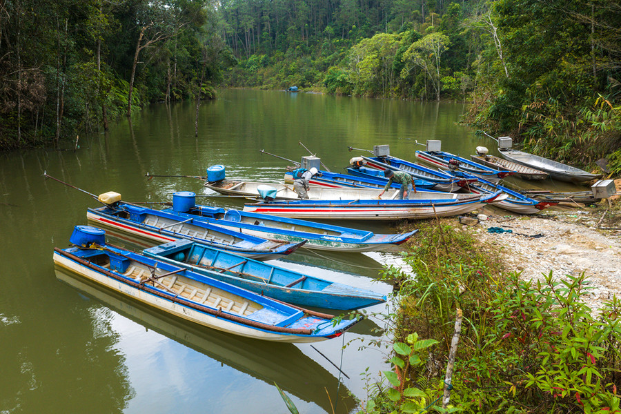 Bến thuyền dân sinh được hình thành và ngày càng đông đúc với nhiều hoạt động trên lòng hồ.