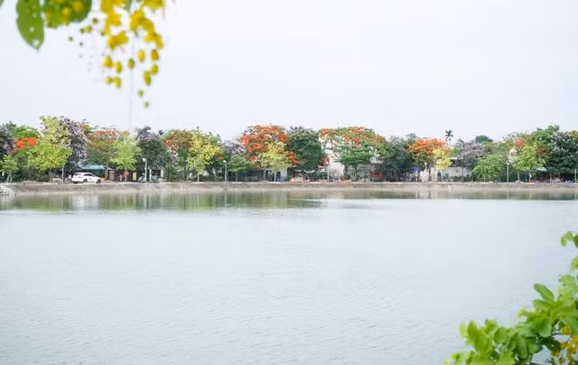 Dù đứng ở đâu trong công viên, con đường hoa quanh hồ cũng tạo nên cảnh sắc đẹp lung linh