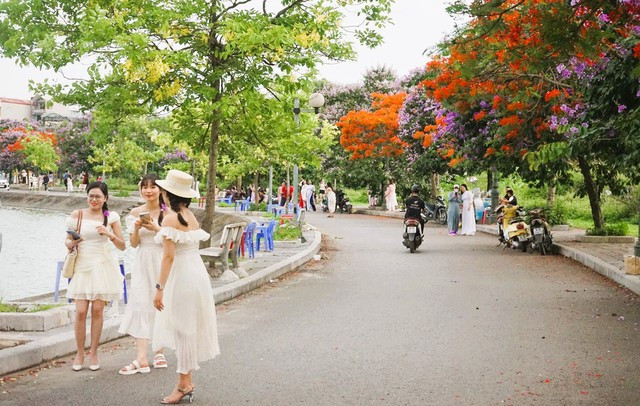 Trong khoảng 1 tuần qua, mỗi ngày có cả ngàn người đổ về đây chụp ảnh, ngắm hoa Trong khoảng 1 tuần qua, mỗi ngày có cả ngàn người đổ về đây chụp ảnh, ngắm hoa