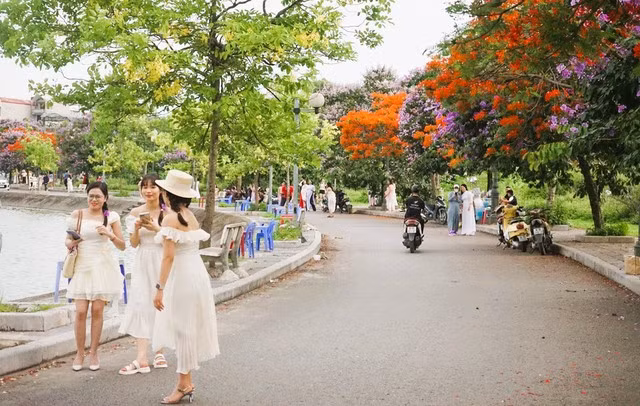 Trong khoảng 1 tuần qua, mỗi ngày có cả ngàn người đổ về đây chụp ảnh, ngắm hoa