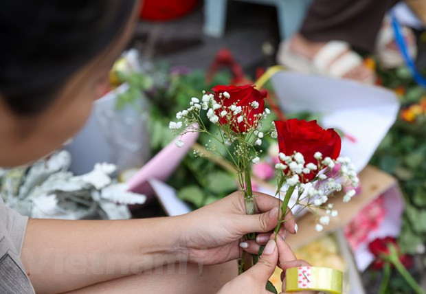 Giá hoa hồng hôm nay đã lên đến 15.000-20.000 đồng/bông, tăng gấp đôi, gấp ba ngày thường. (Ảnh: Minh Hiếu/Vietnam+) Giá hoa hồng hôm nay đã lên đến 15.000-20.000 đồng/bông, tăng gấp đôi, gấp ba ngày thường. (Ảnh: Minh Hiếu/Vietnam+)