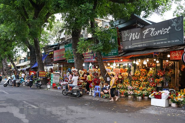 Rực rỡ cả một đoạn đường với các cửa hàng hoa trên phố Lương Định Của (quận Đống Đa). (Ảnh: Minh Hiếu/Vietnam+) Rực rỡ cả một đoạn đường với các cửa hàng hoa trên phố Lương Định Của (quận Đống Đa). (Ảnh: Minh Hiếu/Vietnam+)