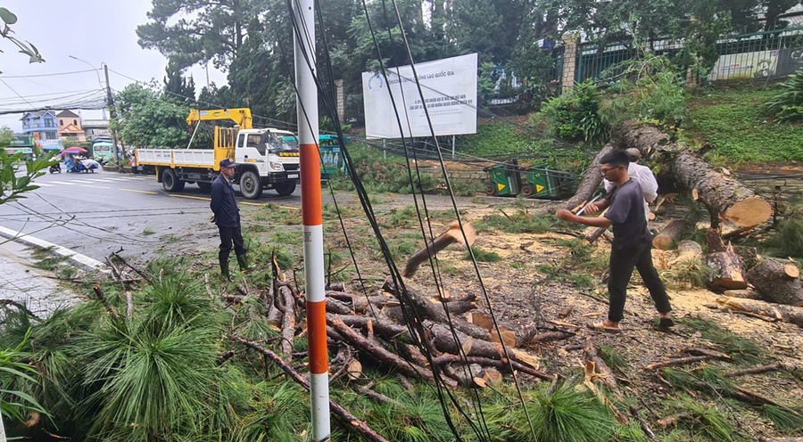 Cơ quan chức năng xử lý thông ngã đổ, giải phóng hiện trường để các phương tiện có thể lưu thông Cơ quan chức năng xử lý thông ngã đổ, giải phóng hiện trường để các phương tiện có thể lưu thông